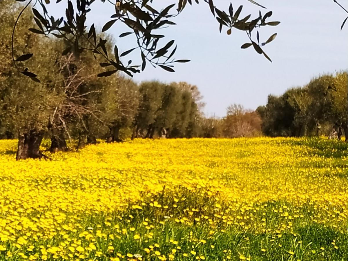 Masseria - Trulli Genius Loci Dimore Monopoli Ngoại thất bức ảnh